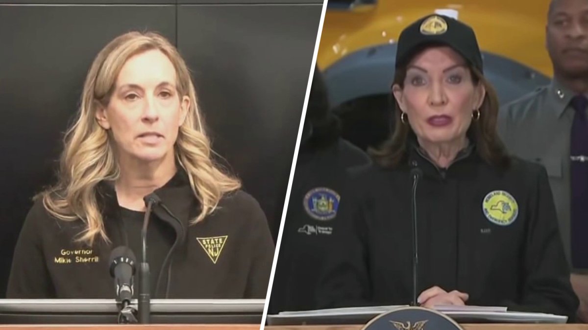 Winter Storm Grips NYC: Flight Chaos, School Closures & Preparedness